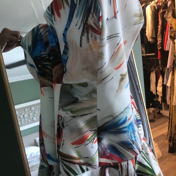 Milly Parrot 🦜 Print Bustier Dress. - Picture 5 of 7